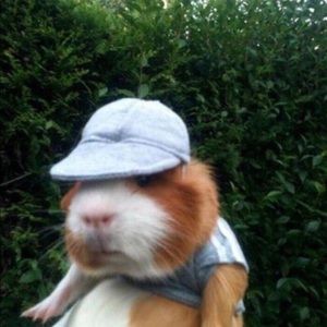 Meet your Posher, Ella